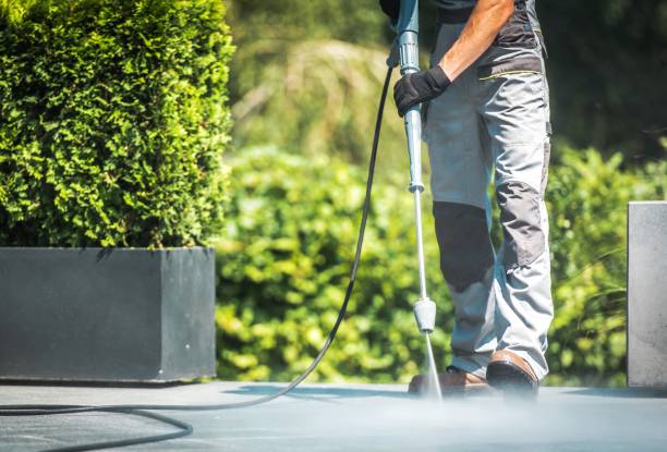Best Patio and Deck Pressure Washing  in Cedar Glen Lakes, NJ