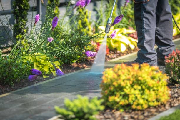 Trusted Cedar Glen Lakes, NJ Pressure Washing Services Experts