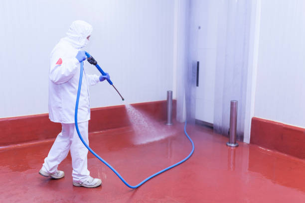 Best Roof Washing  in Cedar Glen Lakes, NJ